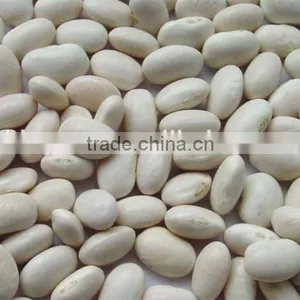 We Are Supply Kidney Beans, Medium White Kidney Beans With Competitive Price Quality Choice thumbnail-6
