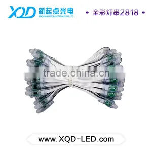 50PCS WS2811 RGB Full Color 12mm Pixels Digital Addressable LED String Lights DC5V/DC12V thumbnail-3