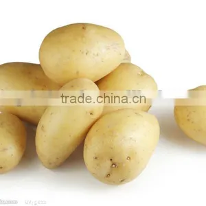 China Fresh Potatoes in Hot Sailing thumbnail-1