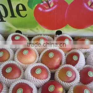 Red Star Apple thumbnail-1