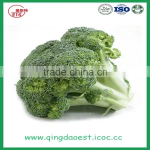 High Quality Fresh Broccoli for Sale 1000-1100g/pc thumbnail-3