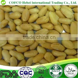 Fried Peanut thumbnail-1