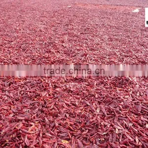 Dried Red Low Hot Chilli Yiduhong Chilli Yidu Chilli Stemless thumbnail-3