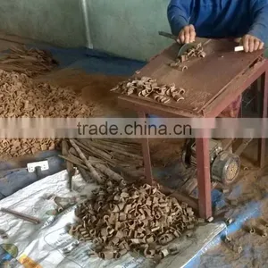 RAW SQUARE CUT CASSIA/CINNAMON WITH SKIN thumbnail-4