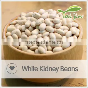 Foul Medames White Kidney Beans For Canning thumbnail-6