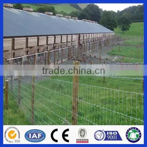 Made in China 20 Years Experience Professional Factory Hot Sale Field Fence thumbnail-3