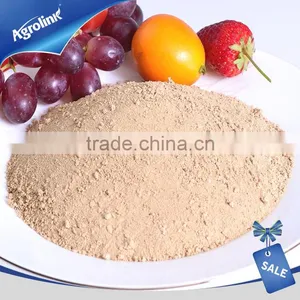 Amino Acid Powder Fertilizer Source thumbnail-1