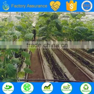 TS Irrigation Build the Samll Farm Irrigation System thumbnail-3