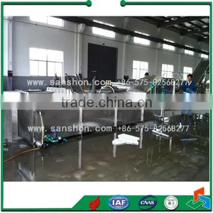 China Factory Price Fruit Blanching Machine thumbnail-2