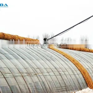 Polythene Film Solar Greenhouse For Vegetables thumbnail-2