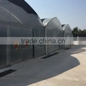 Quickly Delvery China Greenhouse for Commerical thumbnail-1