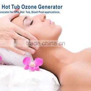 300mg/h Spa Home Machine Water Filters for Hot Tub thumbnail-3