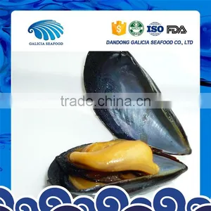 Delicious Half Shell Frozen Blue Mussel for Sale From Good Factory thumbnail-1