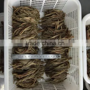 Hot Sales New Season Salted Anchovy Fillets thumbnail-5