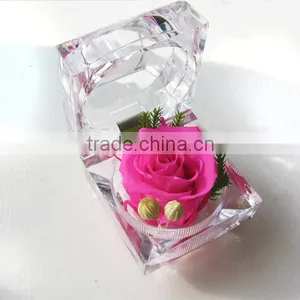 Real Natural Fresh Preserved Roses Flower Everlasting Preserved Roses thumbnail-3