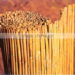 Reed Fence thumbnail-6