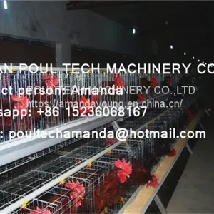 Philippines Chicken Farm Hot Galvanized Cage for Layer & A Frame Battery Hen Cage & Female Chicken Coop for Poultry Farm thumbnail-1