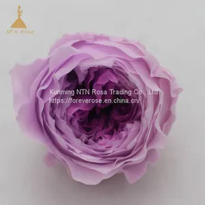 Preserved Fresh Rose Flower for Home Decoration Wedding Gifts thumbnail-1