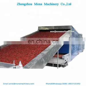304 Stainless Steel Coconut Fruit Slice and Vegetable Belt Dryer Machine thumbnail-1