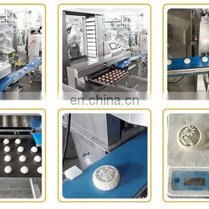 Small Capacity Bear Cookies Biscuit Making Machine Arabic Cookies Making Machine thumbnail-4