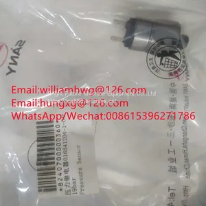 Sany Parts B240700000360 Sany Pressure Relay B240700000360 thumbnail-1