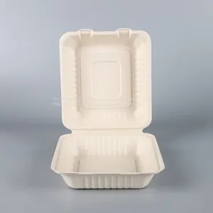 Biodegradable 8*8 Take Away Sugarcane Container thumbnail-3