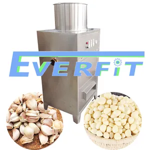 Garlic Peeling Machine India| Specifications Garlic Peeler Machine | Garlic Peeler Machine Price in Pakistan thumbnail-1