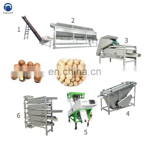 Walnut Shell Crusher Shell Kernel Separating Machine Almond Nuts Sheller Machine thumbnail-3