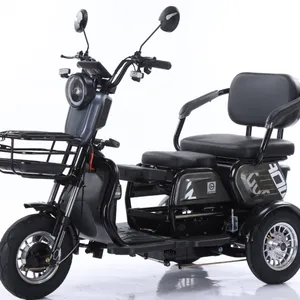 2025 Best 3 Wheel Passenger Tricycle Two Seat 48v Electric Tricycle Bike for Adults and Old People thumbnail-2