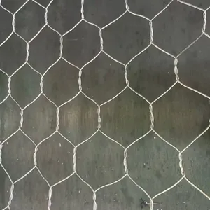 Galvanized Hexagonal Wire Mesh - PVC Coated Gabion Net for Garden Fencing, Animal Cages & Stone Retaining thumbnail-4