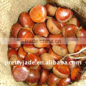 Fresh Chestnut for Sale thumbnail-1