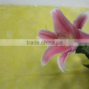 Colorful Best Selling High Quality Flowers Liliess thumbnail-6