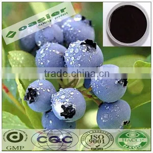 Natural Organic Bilberry Extract From GMP Manufacturer thumbnail-1