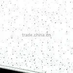 Ceiling thumbnail-1