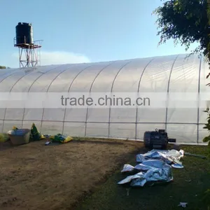 Cheap Single Span Plastic Greenhouse for Agriculture thumbnail-3