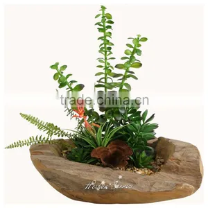 Natural Look Good Quality Artificial Succulent Bonsai Fake Succulent Plant Wholesale thumbnail-3