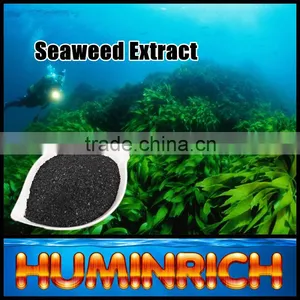 Humirich Shenyang SY1001 Seaweed Extract Alga Flake Organic Fertilizer thumbnail-2