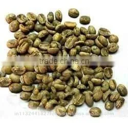 Raw Arabica and Robusta Coffee Beans Exporters India/robusta Cherry,arabica Plantation Suppliers thumbnail-1