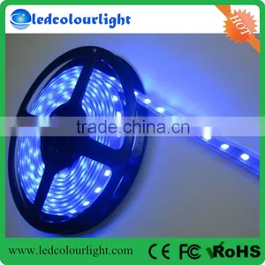 Shenzhen Ledcolourlight DC 24v DMX Control Rgb Led Strip Light thumbnail-1
