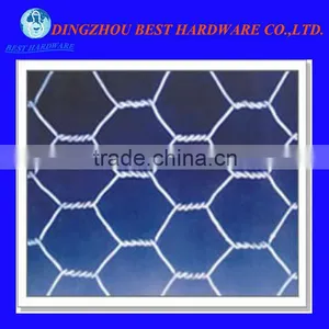 Galvanized Chicken Coop Wire Mesh thumbnail-1