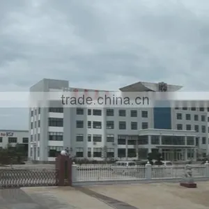 Shandong BSY Group Co., Ltd. company overview - view 1 thumbnail