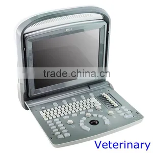 2015 Hot Selling Veterinary Instrument Ultrasound Scanner ECO1 VET With 2.5-11MHz Probe Frequency thumbnail-1