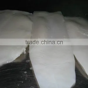Frozen Giant Squid Fillet thumbnail-1