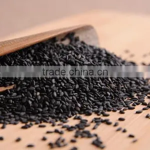 High Quality Natural Black Sesame Extract Sesamolin Sesamin Powder thumbnail-1