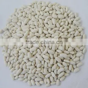 2015 New Crop Price of Baishake White Kidney Beans From China thumbnail-5