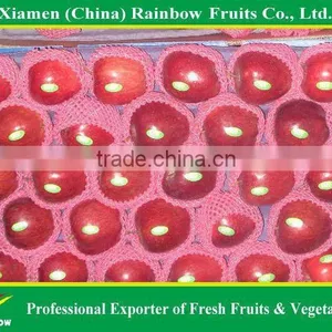 Red Delicious Apples thumbnail-3