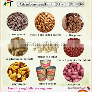 Snack Spicy Peanuts thumbnail-2