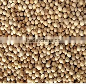 VINAPRO WHITE PEPPER 630G/L (+841657106604 - WHATSAPP) thumbnail-4