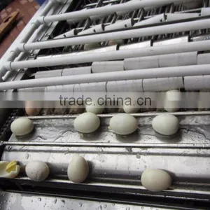 FT-200 High Capacity Boiled Chicken Hen Egg Shelling Breaking Peeling Machine thumbnail-6