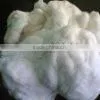 Cotton Waste Manufacturer thumbnail-1